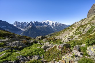 Mountain panorama with glaciated mountain peaks, Aiguille du Midi and Mont Blanc, Aiguille de