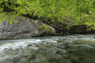 Wild and romantic Weißbach Gorge near Inzell