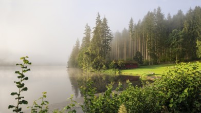 Lake Blaibach on a misty morning with sunshine. Blaibach, district of Cham, Upper Palatinate,