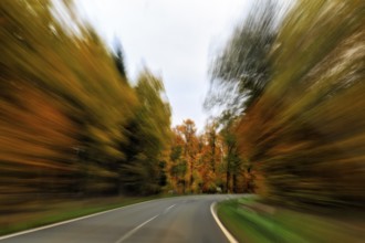 Winding country road through dark autumn forest, autumn leaves, limited visibility, cloudy weather,