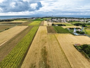 Fields and Grape plantations from a drone, Saint-Clement-des-Baleines, Atlantic, France