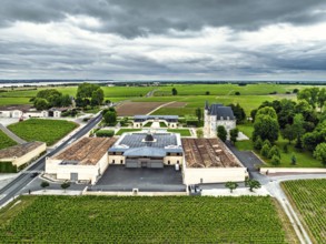 Chateau Pichon Longueville Baron Vineyard and grape fields around Pauillac from a drone, Bordeaux,