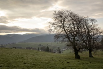View from Schauinsland to the east with the mountains of the Black Forest in the morning, in the