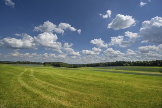 Franconian landscape, cloudy sky, Bavaria, Germany