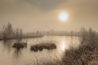 Bog in misty morning light, Lower Saxony, Germany