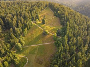 Green forests and fields with small paths and sunlight, Retro Freizeitpark Poppeltal giant slide,