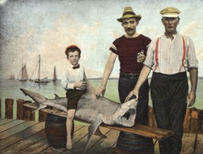 Two men and a boy pose with a shark. Child riding the shark. Presumably a Grey reef shark