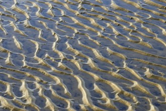 North Sea, Wadden Sea at low tide, wave-like structure, current ripples, Norddeich, Lower Saxony,