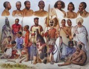 African ethnic types: 1. Ashanti, 2. Loangoneger, 3. Cameroon, 4. Baluba, 5. Somali, 6. Abyssinian,