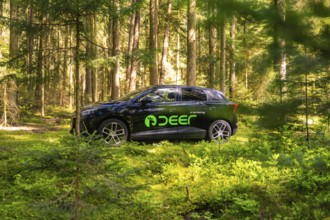 Black car with green stickers parked in a sunny forest, Deer E- Carsharing, Calw, Black Forest,