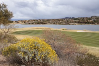Colorful desert landscaping on a golf course along the shoreline of Las Vegas Wash at Lake Las