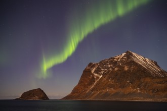 Aurora borealis in green colors over mountain range and coastline at night, Lofoten, Norway