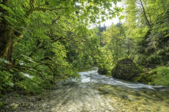 Wild and romantic Weißbach Gorge near Inzell