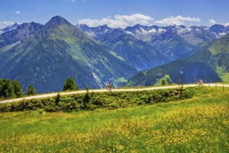 Hiking trail on the Penken, Mayrhofen, Zillertal, Zillertal Alps, Tyrol, Austria