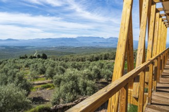 Wooden viewing platform, city Ubeda, view over endless olive tree fields to distant mountains,