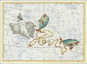 Zodiac sign, Aries, southern fish, Borealis, Linum piscium, star chart, universe, astrology,