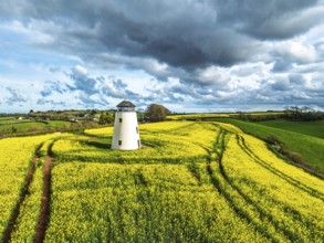Rapeseed fields and Farms over Devon Windmill from a drone, Torquay, Devon, England, United Kingdom