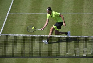 Alexander Zverev GER, Action, Tennis, ATP 250, BOSS Open 2025, Stuttgart, Baden-Württemberg,