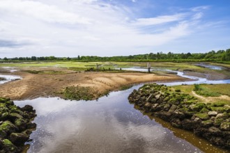 Marshes in La Teste-de-Buch, Arcachon, Gironde, France