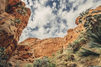 Bungle Bungles in Australia in the Outback, Australia