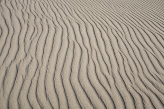 Wave-like wind-formed sand structures in close-up, Hvide Sande, North Sea, Denmark