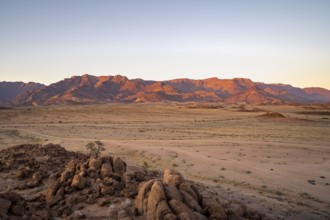 Desert landscape with Brandberg at sunrise, Erongo, Damaraland, Namibia
