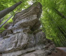 Rocks in Franconian Switzerland, Bavaria, Germany