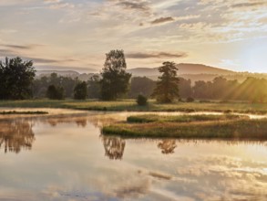 Sunrise at a pond in the Schoren nature reserve, Mühlau, Freiamt, Canton Aargau, Switzerland