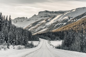 Winter road trip on the Icefields Parkway with lots of snow and ice, Banff National Park, Jasper