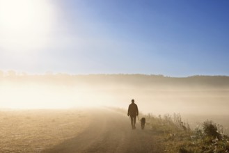 One person walking the dog on a gravel road with morning fog in a rural landscape in autumn