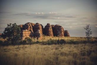 Bungle Bungle Range, Outback, hiking in Australia in high heat, Western Australia, Australia