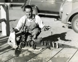 Fisherman posing with catch, blue shark (Carcharhinus glaucus), pregnant female with many young,