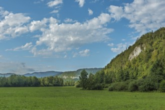 A huge green meadow stretches into the distance, lined with dense forests and rocky hills under a