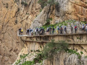 Tourists on the elevated path of the caminito del rey, along a deep gorge, Andalusia, Spain