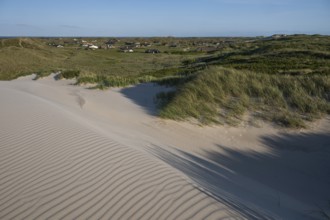 Dunes, wind-sculpted wave patterns in the sand, standing grass, dune landscape, holiday settlement,