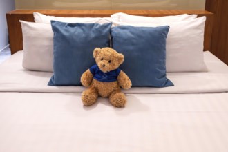Double bed plush bear
