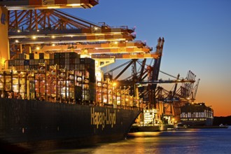Container ships at the Eurogate container terminal in the evening with an atmospheric sunset,