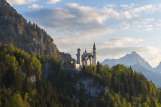Towering castle in front of an Alpine panorama in daylight, Neuschwanstein, Schwangau near Füssen,