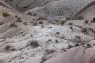 Colorful deposits of the Chinle Formation exposed at Little Painted Desert County Park near