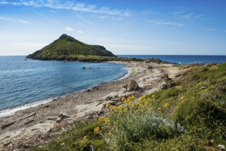 Wild beach, Sentier du littoral, Plage Ranc, Cap Taillat, Saint Tropez, Var, French Riviera,