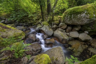 Stream, Parc Régional Naturel Corse, Corsica, France