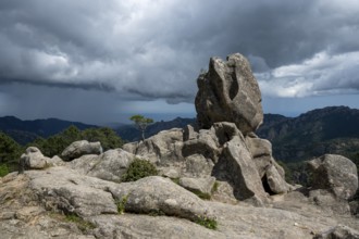 Hiking trail to the Cascade de Piscia di Gallo waterfall, Piscia di Ghjaddu, Alta Rocca, Corsica,