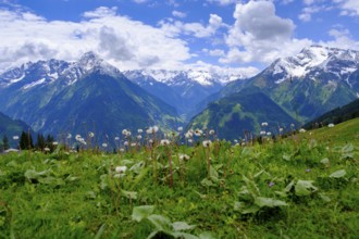 Penken, Mayrhofen, Zillertal, Tyrol, Austria