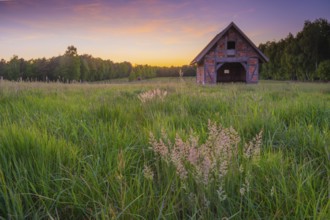 View of grasses and an open half-timbered barn standing on a pasture in the sunset, meadow, spring,