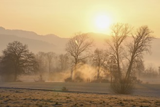 Meadows and trees in the early morning mist in the light of the rising sun, Reusstal, Aristau,