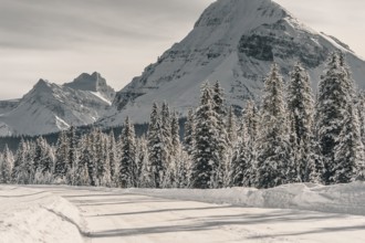 Winter road trip on the Icefields Parkway with lots of snow and ice, Banff National Park, Jasper
