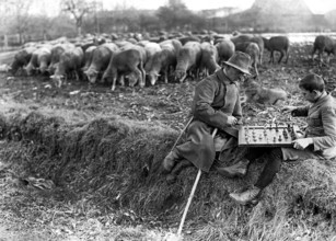 Shepherd playing chess with boys, ca. 1920, Two shepherds playing chess on a field, surrounded by a