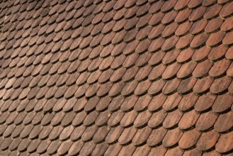 Red shingle roof, house roof, detail, Steyr, Upper Austria, Austria