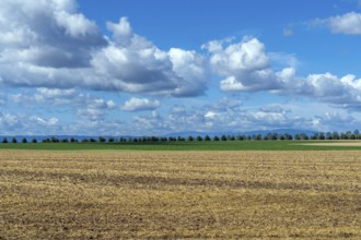 Saxony-Anhalt, Brocken, summit, Harz, northern Germany, weather, cumulus, field, agriculture, tree