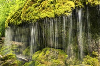 The Dietfurt waterfall, moss and stones, long exposure, Wutach Gorge, Black Forest,